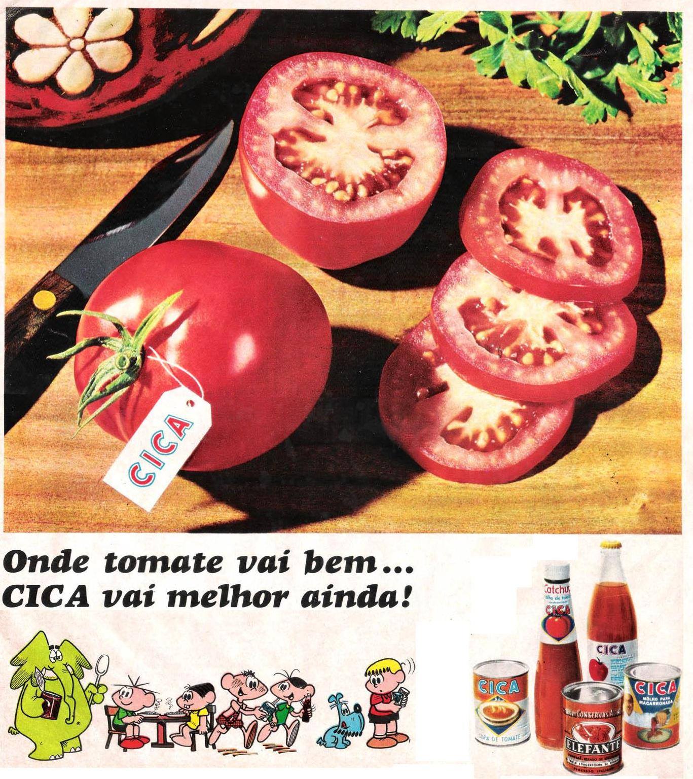 CICA Uma Das Mais Importantes Indústrias de Jundiaí - Conheça a Sua História