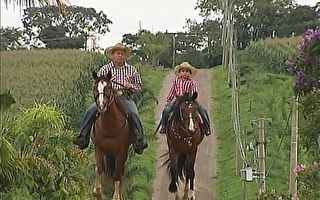 Turismo em Itupeva - Trilhas e Apiário