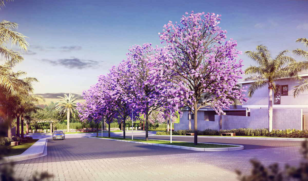 Kaza Alamedas - Medeiros Jundiaí