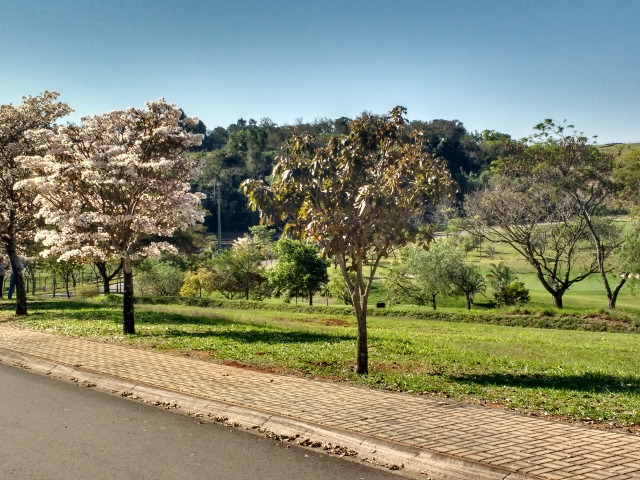 Lote de altíssimo padrão no condomínio fechado Fazenda da Grama 3269