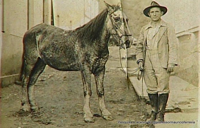 Vianelo o Bairro que era a Fazenda Carneiro