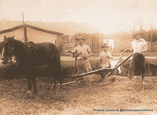 Vianelo o Bairro que era a Fazenda Carneiro