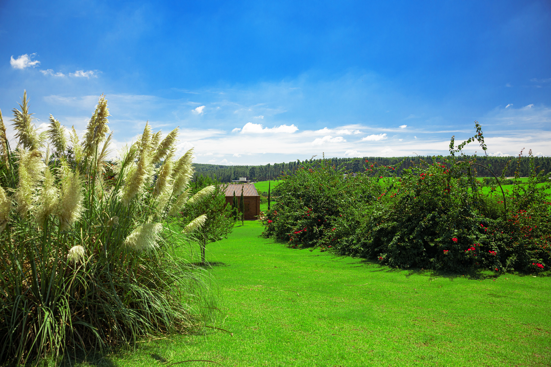 Condomínio Porto São Pedro em Porto Feliz no Interior de SP