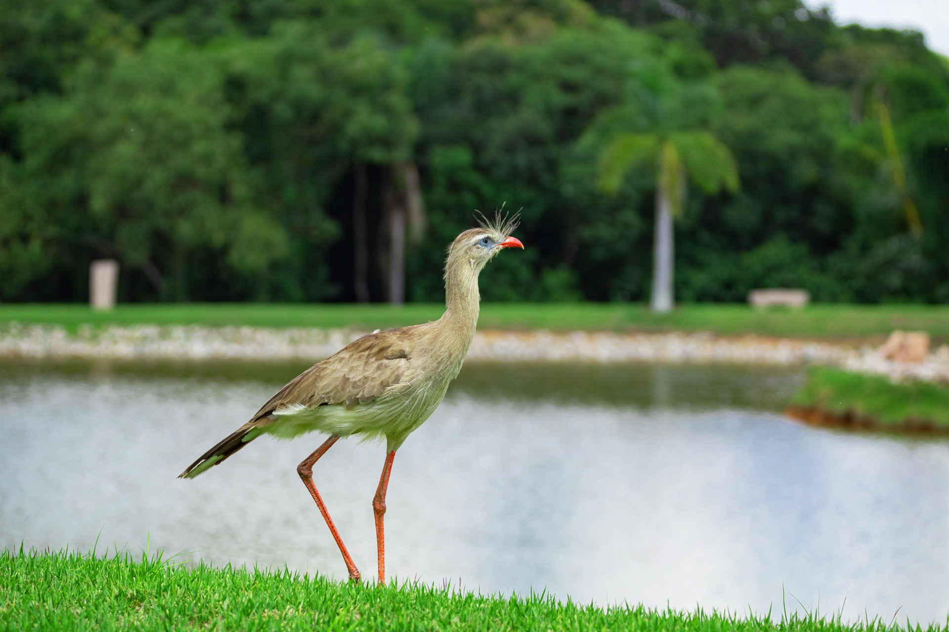 Condomínio Porto São Pedro em Porto Feliz no Interior de SP