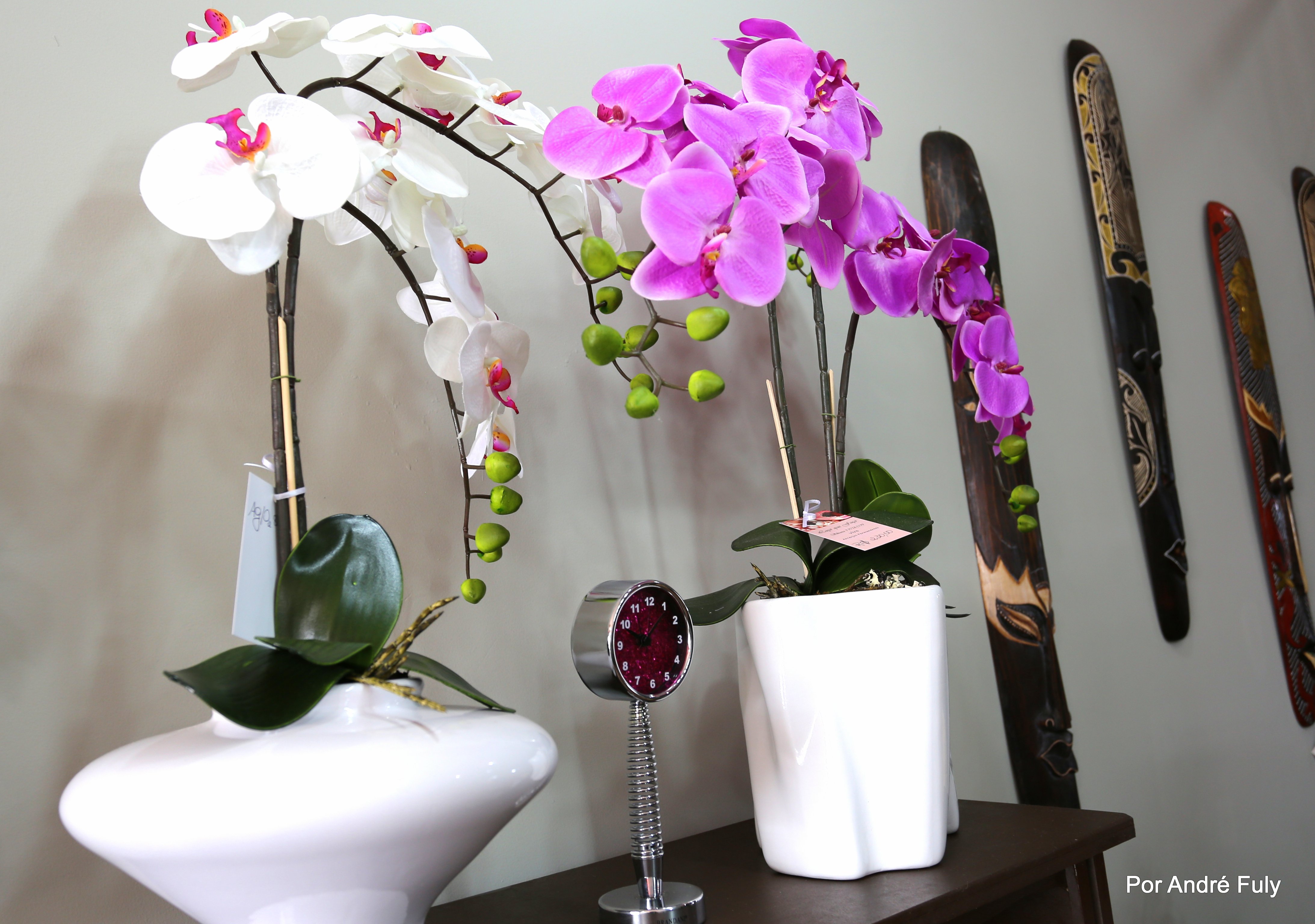 CONEXÃO BUSINESS (O Segredo do Sucesso)