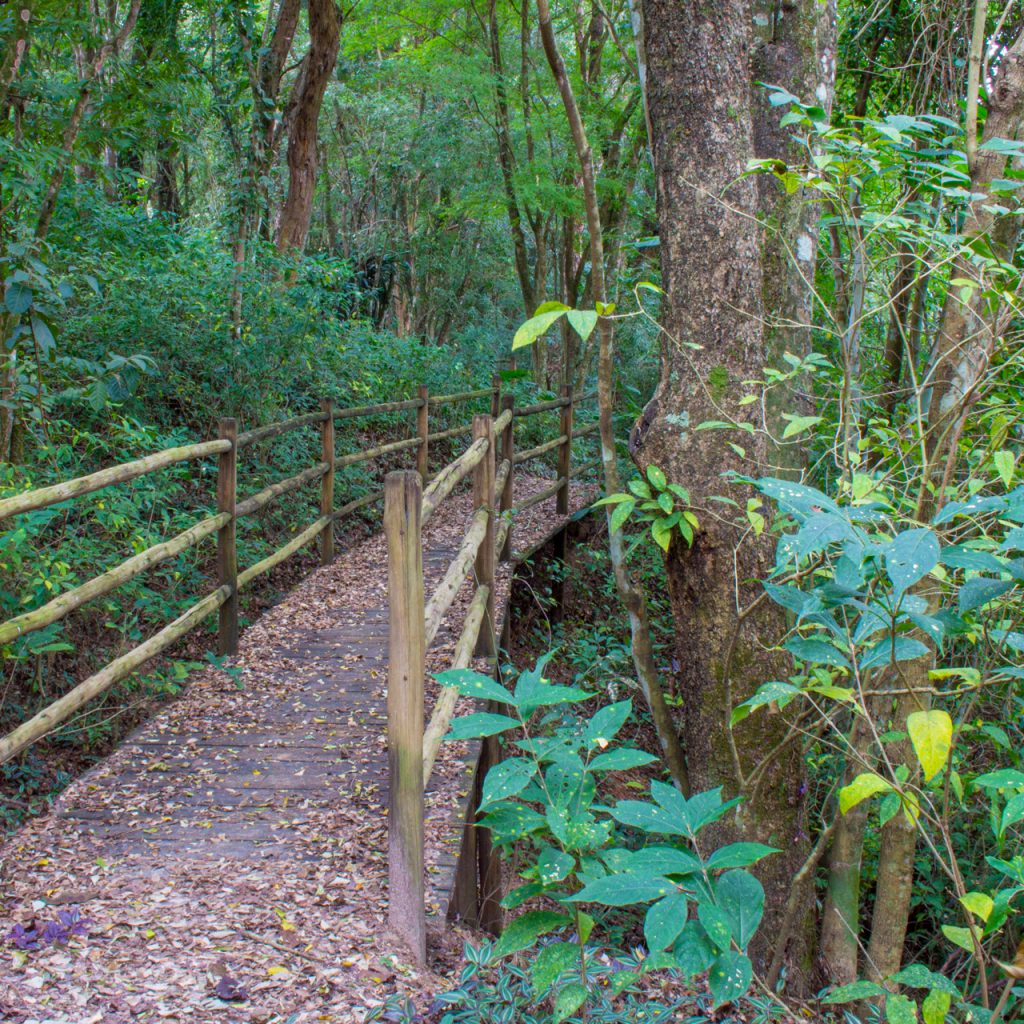 Fazenda Vila Real em Itu