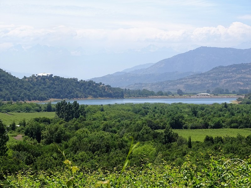 Vik - A Vinícola Mais Luxuosa do Chile