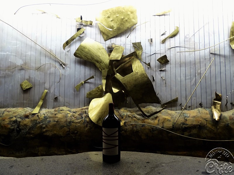 Vik - A Vinícola Mais Luxuosa do Chile