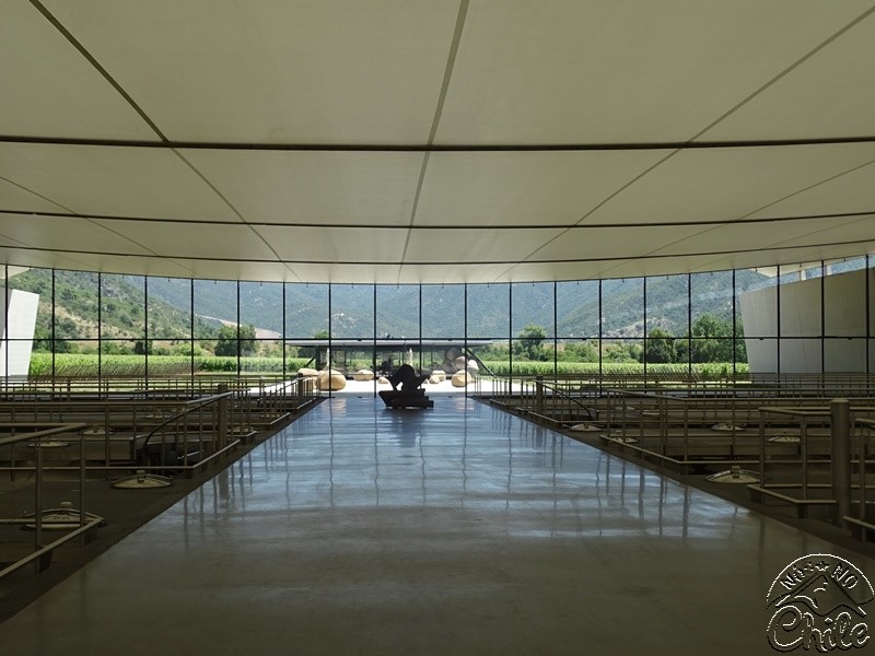 Vik - A Vinícola Mais Luxuosa do Chile