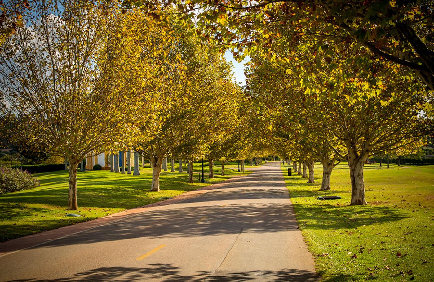 Quinta da Baroneza em Bragança Paulista no Interior de SP