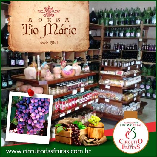 Vinhos Artesanais - Adega Tio Mário Valinhos SP