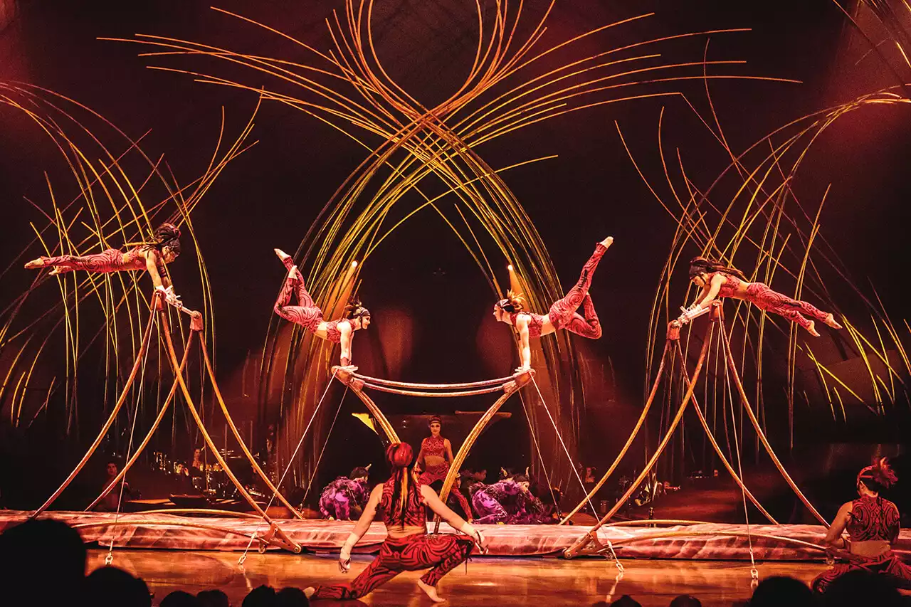 Cirque Du Soleil - Confira datas e horários do Espetáculo Amaluna em São Paulo
