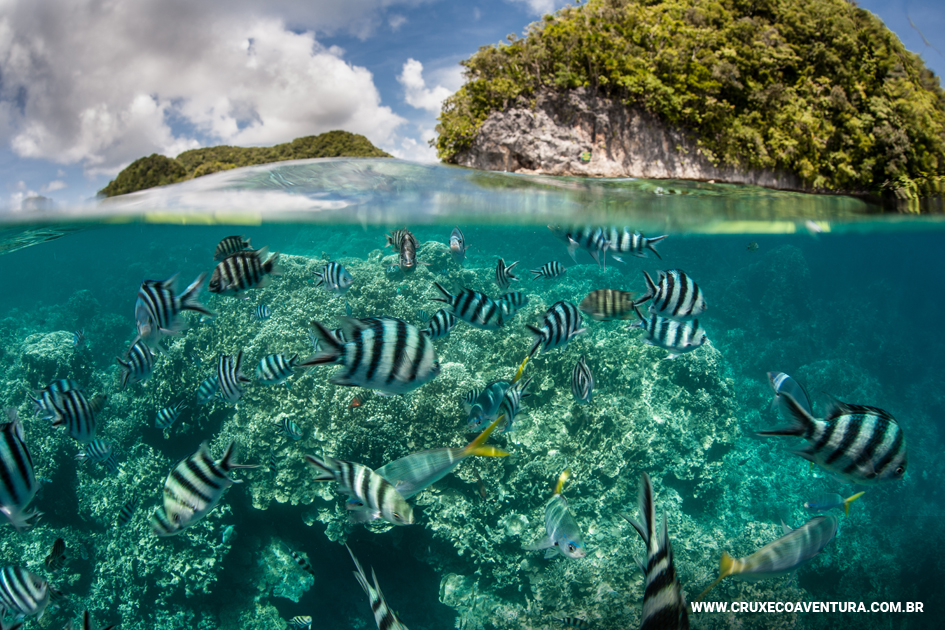 Conheça Arraial do Cabo - RJ