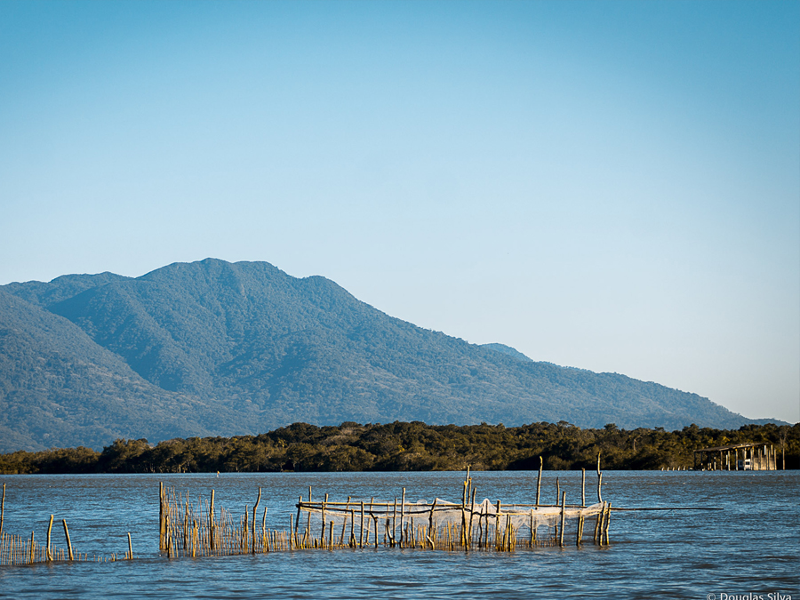 Conheça a Baía dos Golfinhos em Ilha Comprida