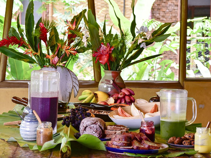 Hospedagem ecológica em Ubatuba: conheça o Banana Bamboo Ecolodge