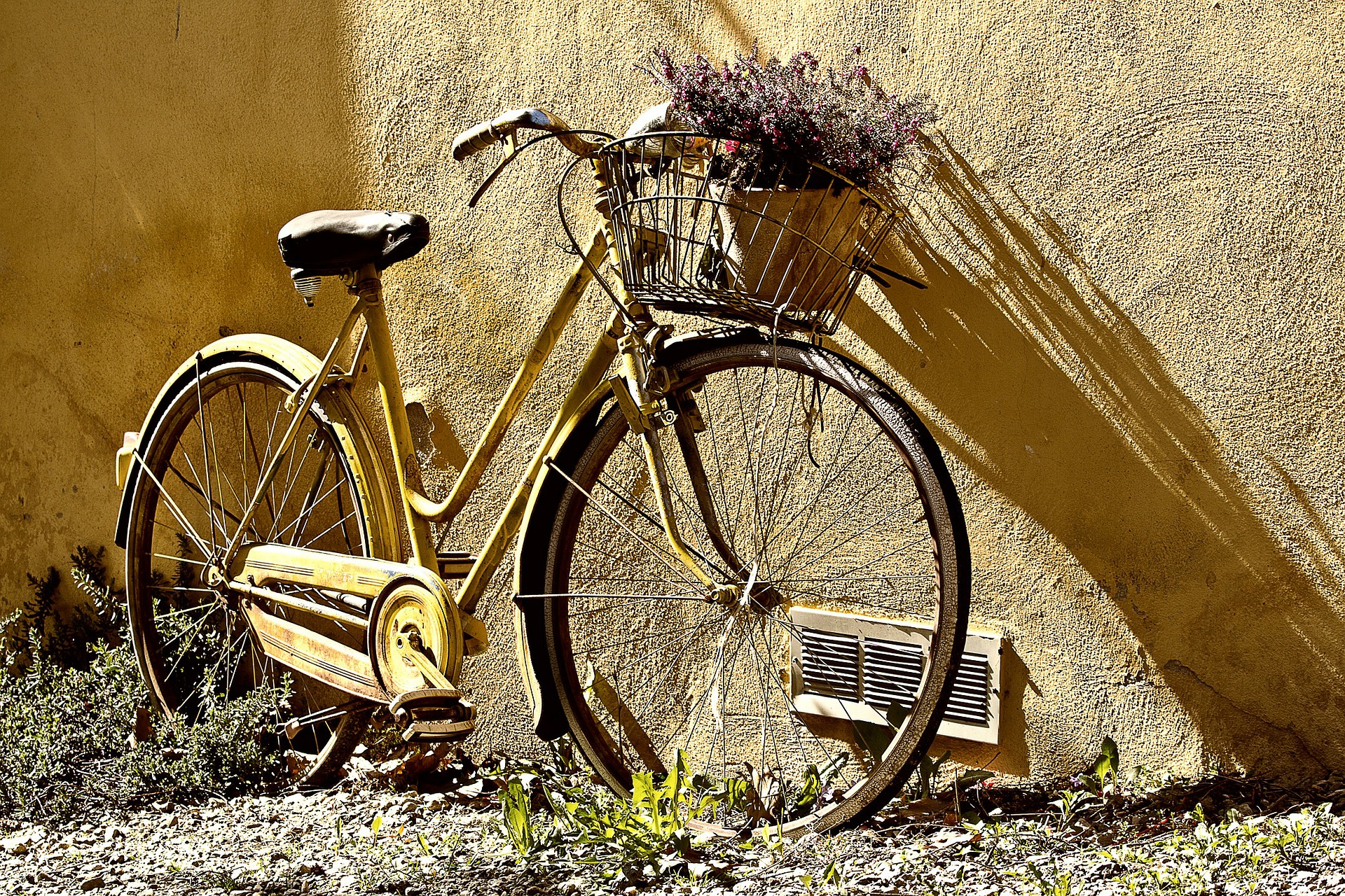 História da Bicicleta