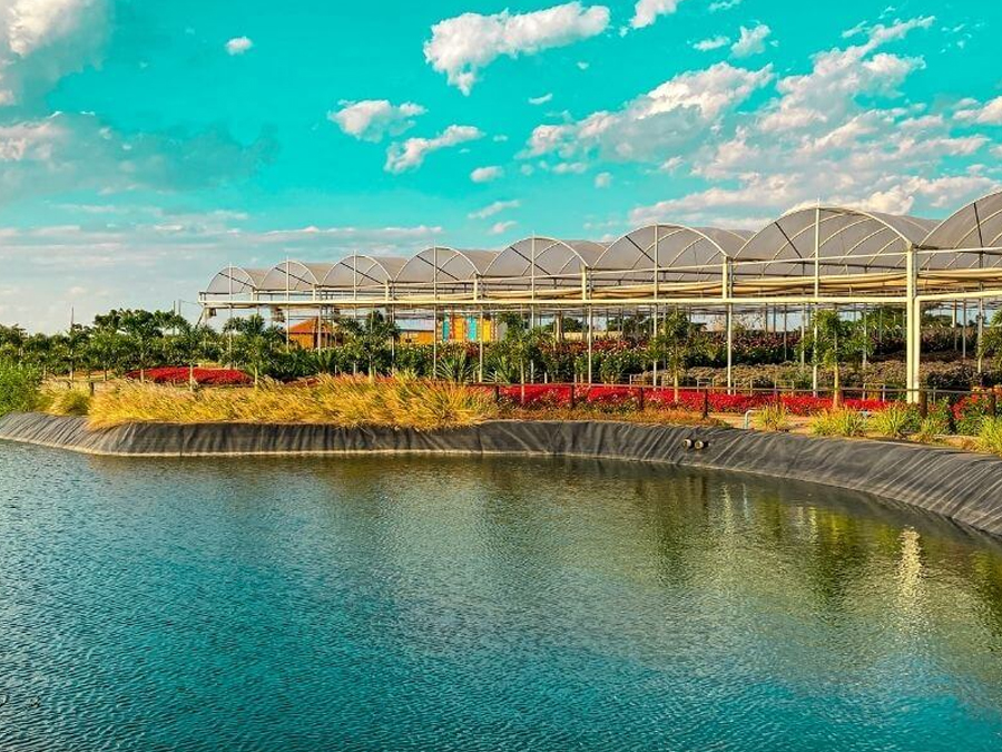 Conheça o Bloemen Park em Holambra