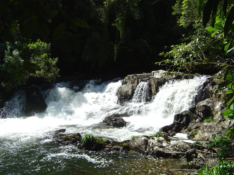 Ecoturismo em Capão Bonito: Conheça o famoso Parque do Paranapanema e seus atrativos naturais