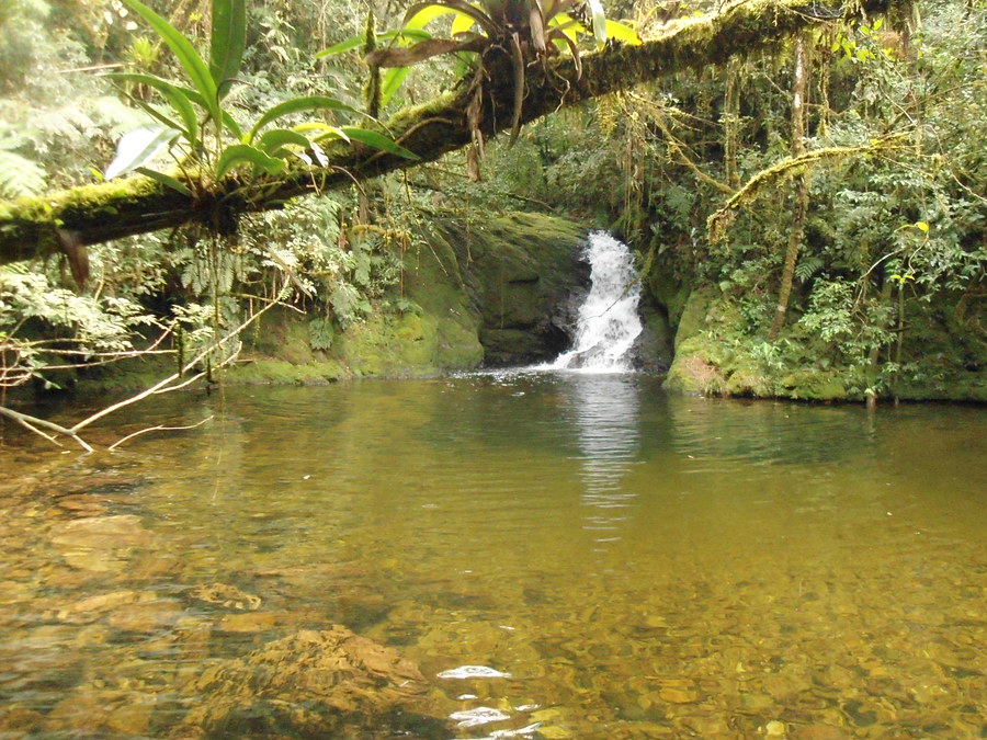 Ecoturismo em Capão Bonito Conheça o famoso Parque do Paranapanema e seus atrativos naturais Ecoturismo em Capão Bonito Conheça o famoso Parque do Paranapanema e seus atrativos naturais