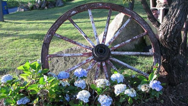 Top Desitnos Turísticos 2021 Tem Jundiaí Como Concorrente na Categoria Turismo Rural