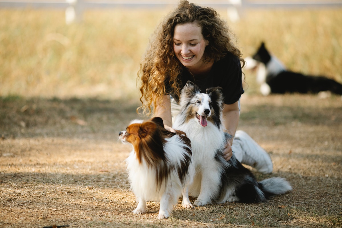 Como os Cães Demonstram Suas Emoções e Como Você Pode Aprender Com Eles