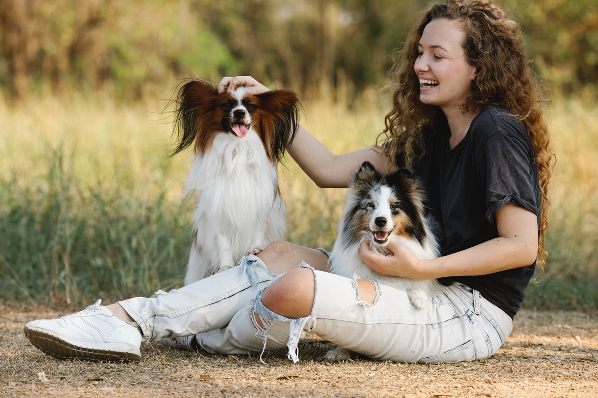 Como os Cães Demonstram Suas Emoções e Como Você Pode Aprender Com Eles