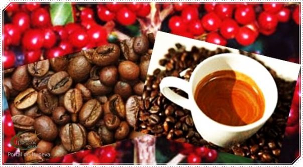 A crise do café em Itupeva - SP