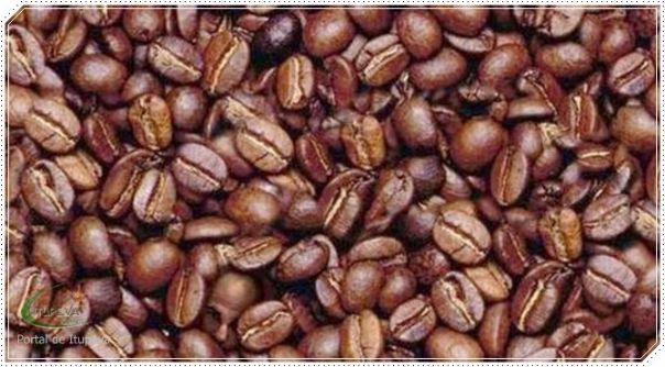 História do Café no Brasil