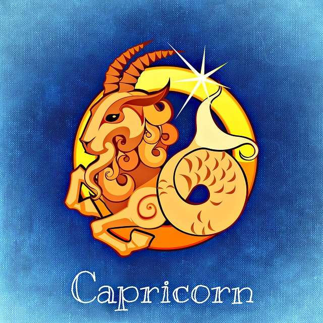 Signo de Capricórnio sabedoria e raciocínio lógico