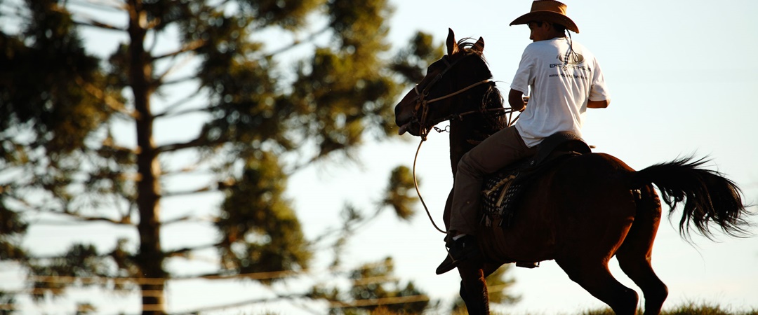 Hora de Cavalgar - A Aliança Entre Terapia e Atividade Física