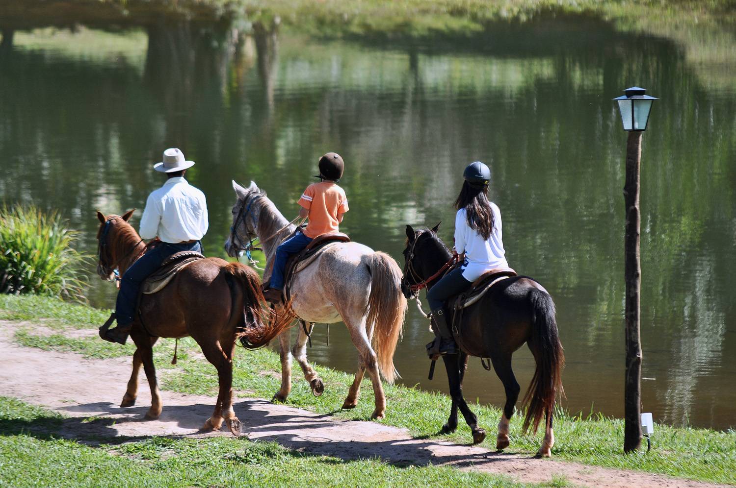 Hora de Cavalgar - A Aliança Entre Terapia e Atividade Física
