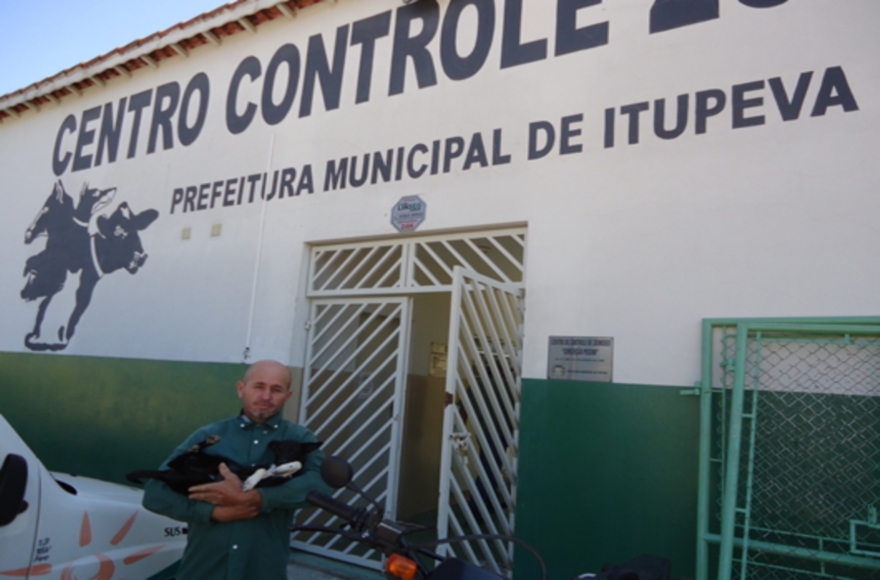 Animais para adoção