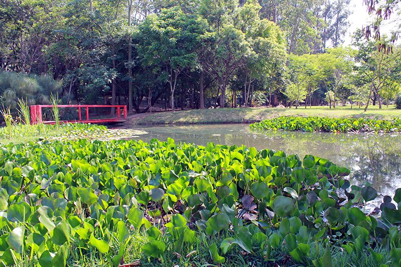 City Castelo em Itu no Interior de SP