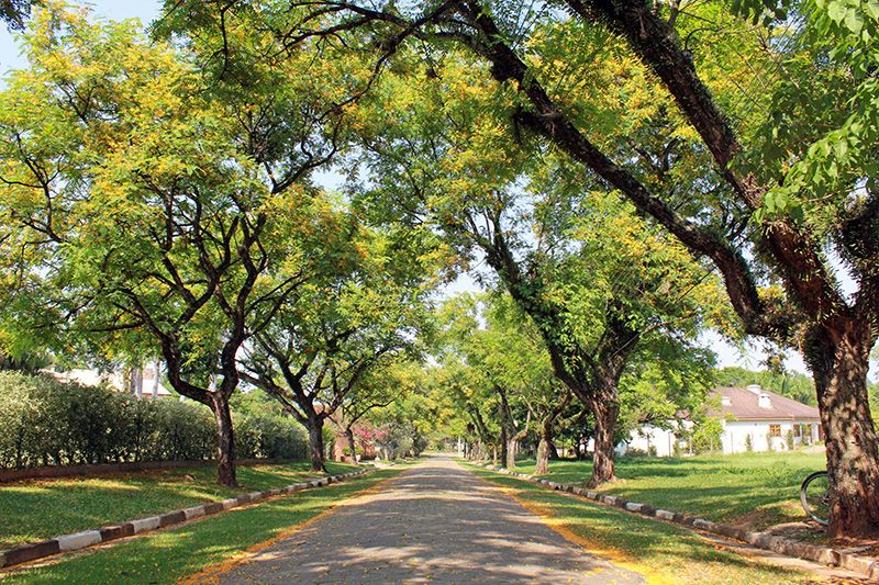 City Castelo em Itu no Interior de SP