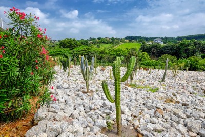 Condomínio Porto São Pedro em Porto Feliz no Interior de SP