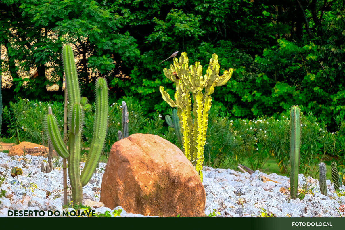 Condomínio Porto São Pedro em Porto Feliz no Interior de SP