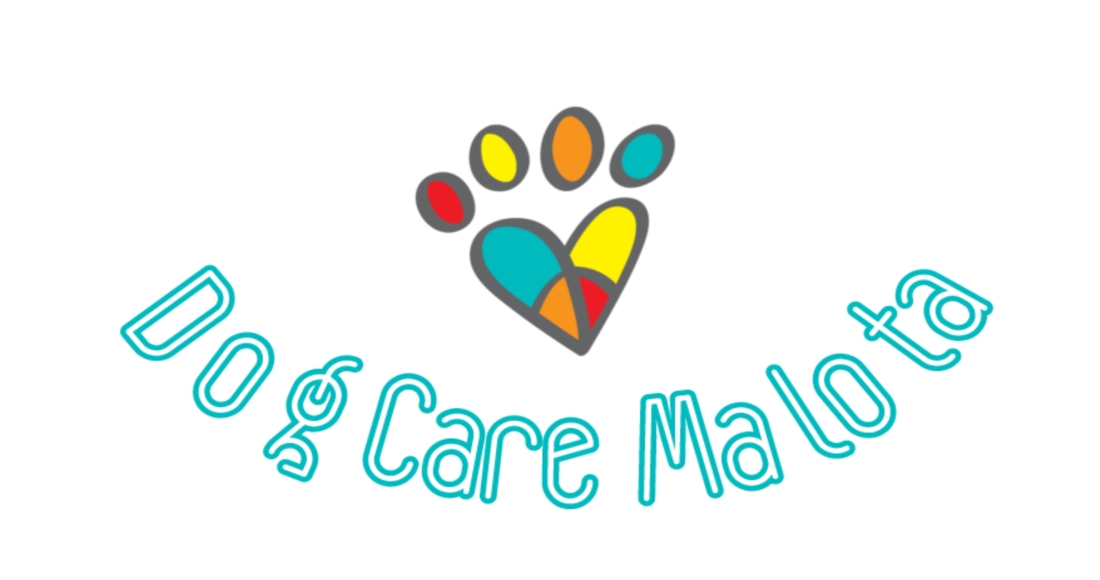 Vai viajar? Saiba o que fazer com seu cãozinho.