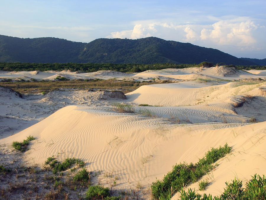 Dunas de areia no Estado de São Paulo que merecem a sua visita