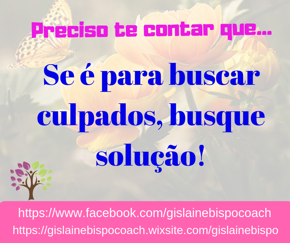 3ª Lei da Auto-responsabilidade: Se é para buscar culpados, busque soluções!