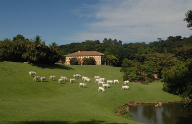 A Relação de Alice Sampaio Ferreira e a Fazenda Quilombo