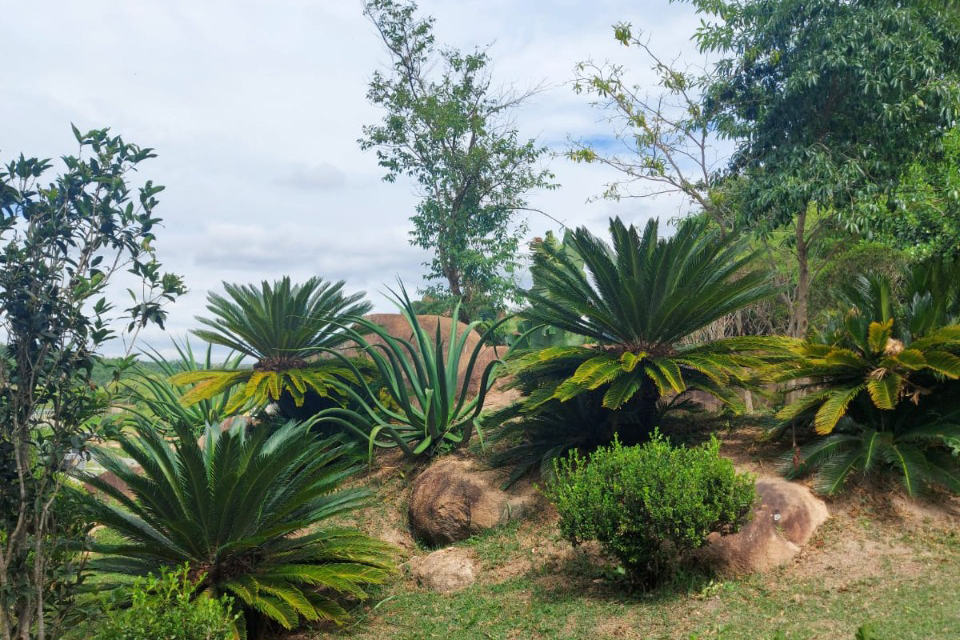 Fazenda Terra Prometida Novo Empreendimento Turístico em Itupeva