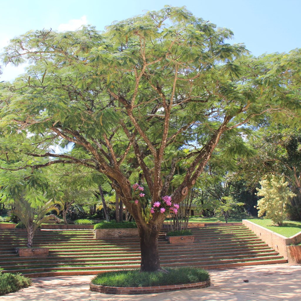 Fazenda Vila Real em Itu