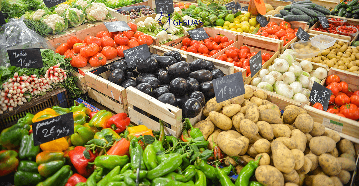 Conselho da Segurança Alimentar e Nutricional abre novas vagas