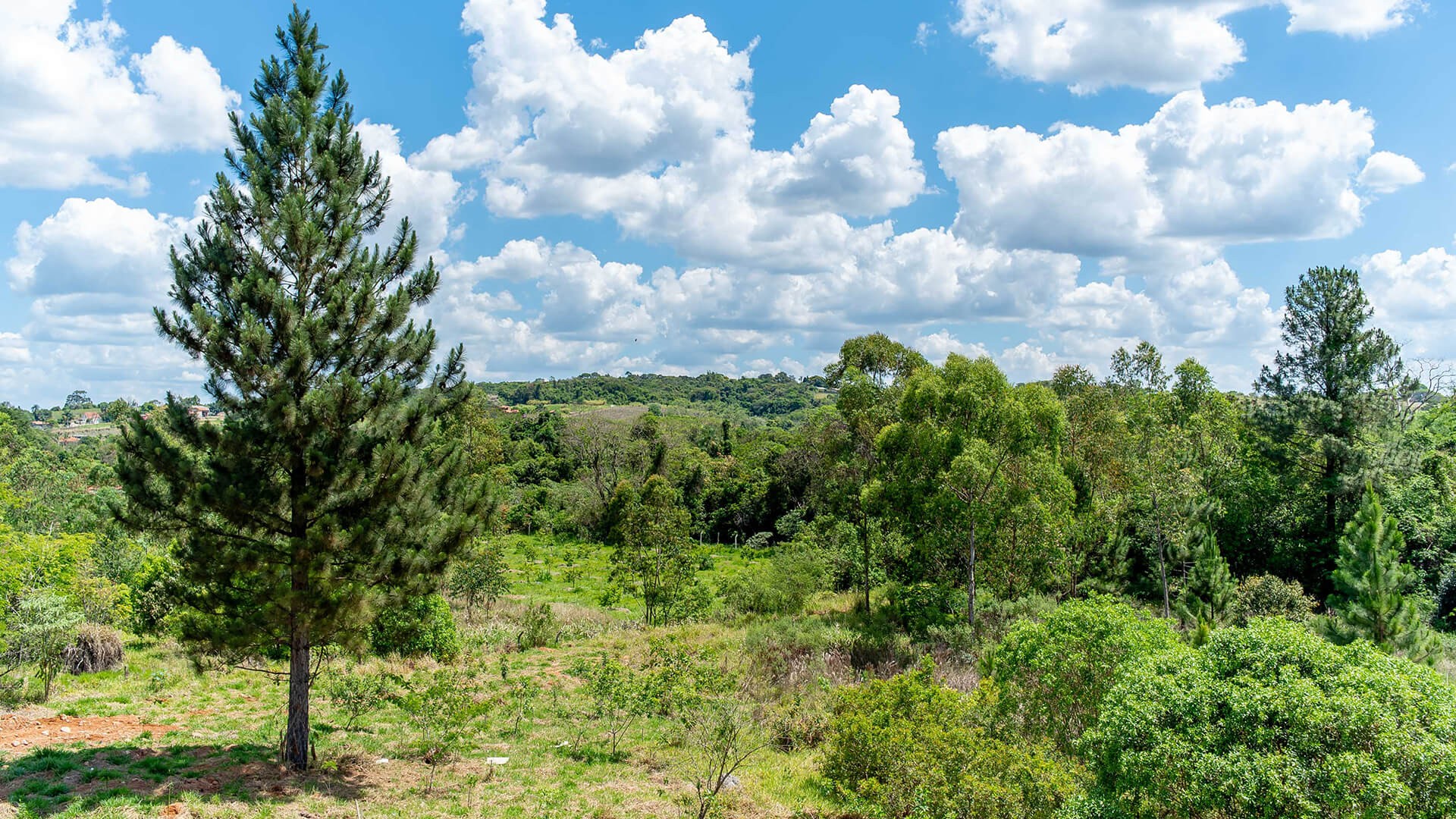 Veja Como Ficou o Casas de Toscana no Medeiros em Jundiaí