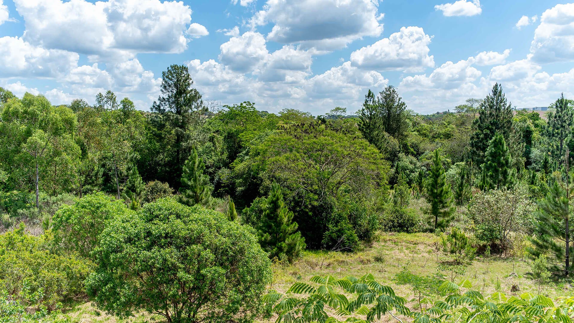Veja Como Ficou o Casas de Toscana no Medeiros em Jundiaí