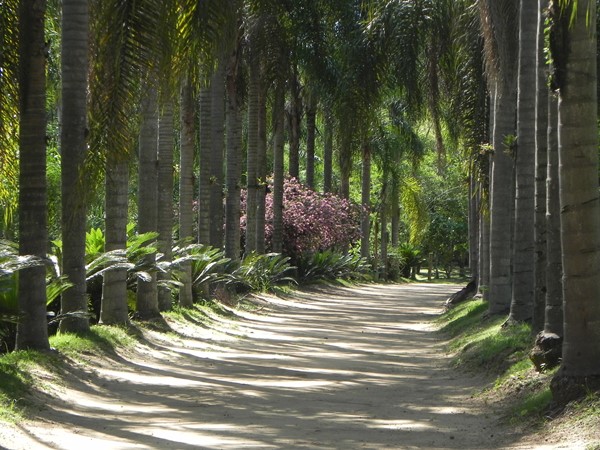Parque do Guacuri um Paraíso em Itupeva