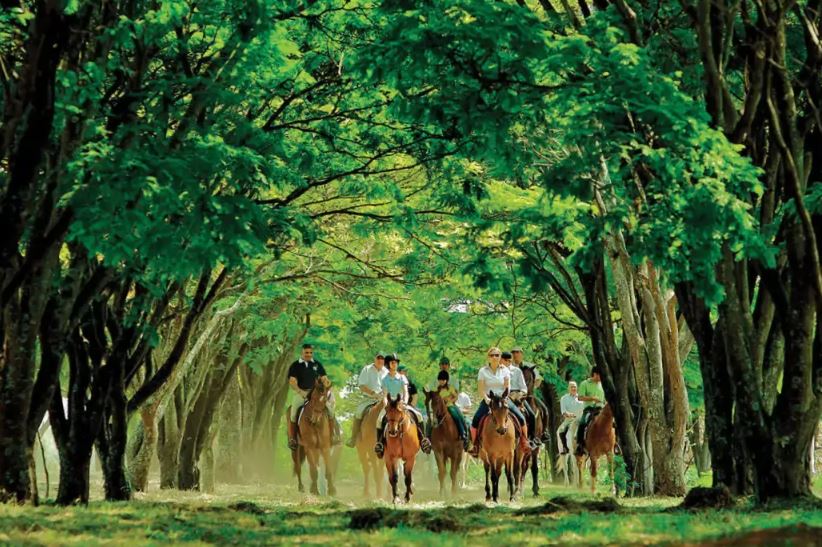 Condomínio de Luxo Haras Larissa em Monte Mor - SP