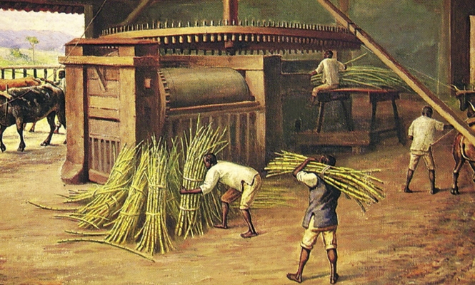 Um Cálice de História