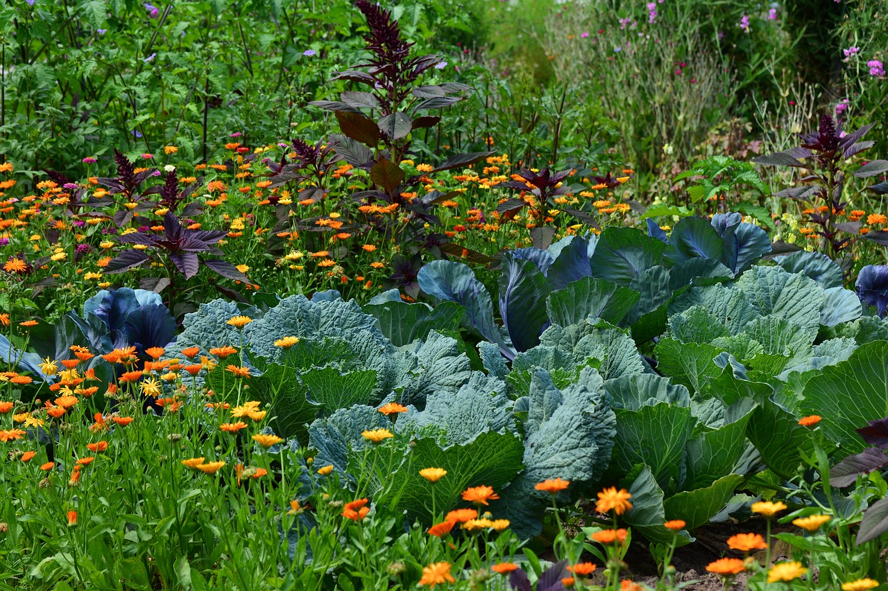 Projeto Horta – alimentação saudável em creches de Itupeva