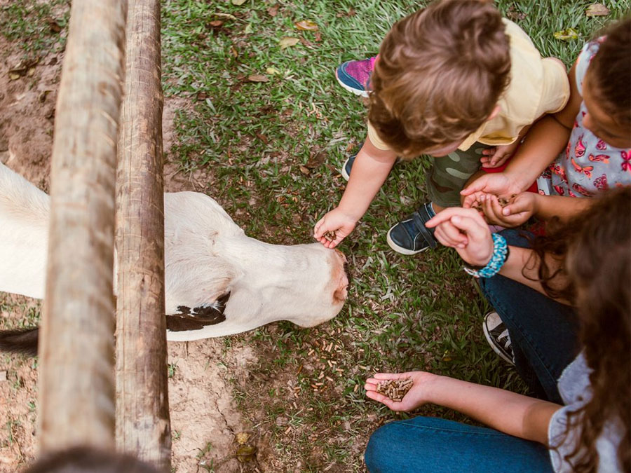 Roteiro KIDS: Natureza e diversão em Cotia SP